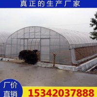 葡萄避雨棚 大棚骨架 新型 蔬菜大棚骨架 镀锌管大棚厂家生产