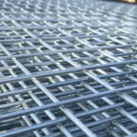 金属电镀锌浸塑网片 地热保温网片 焊接爬架网片
