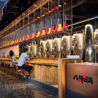 重庆火锅店精酿啤酒设备 1000升啤酒设备 酿酒设备厂家