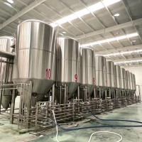 辽宁精酿啤酒设备 制作精酿啤酒设备的厂家