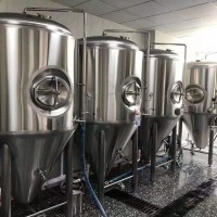 100L-5000L啤酒设备制作厂家吉林精酿啤酒设备