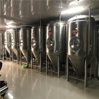 供应德国精酿啤酒设备 德国酿酒工艺技术 自动化啤酒设备厂家