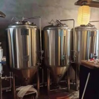 江苏自酿啤酒设备 酒店啤酒设备供应 500升小型啤酒设备