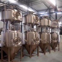 两锅三器精酿啤酒设备糖化系统 自动化啤酒设备机器