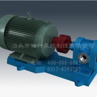天津不锈钢油泵定制加工_泊头特种泵厂价批发齿轮泵