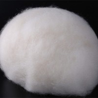 精梳山羊绒多少钱-「霖沃绒毛」绵羊绒羔子绒-出售@上海