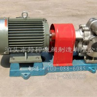 上海不锈钢油泵订制生产_泊头特种泵-批发FCB不锈钢齿轮泵