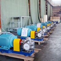 黑龙江齿轮泵生产厂家|河北来福公司定做KCB300不锈钢