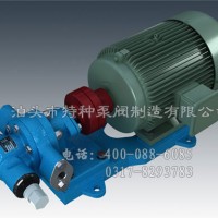 山东不锈钢齿轮油泵定制_泊头特种泵-零售KCB齿轮泵