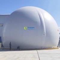 大白球双膜储气柜WD68S